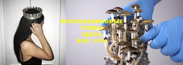 молекула духа Верхний Тагил