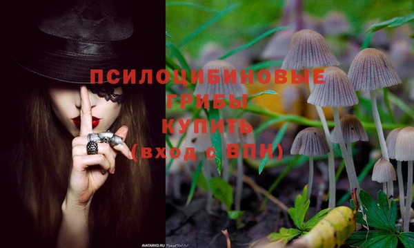 2c-b Волосово